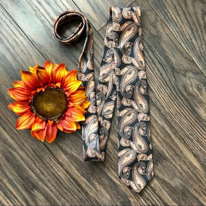 🌻5/$25🌻BILL ROBINSON Paisley Print Tie